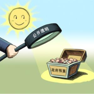 AI担保方案公开